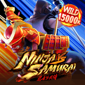 Ninja vs Samurai