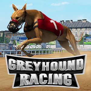 Greyhound Racing