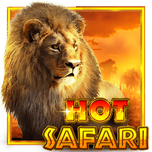 Hot Safari
